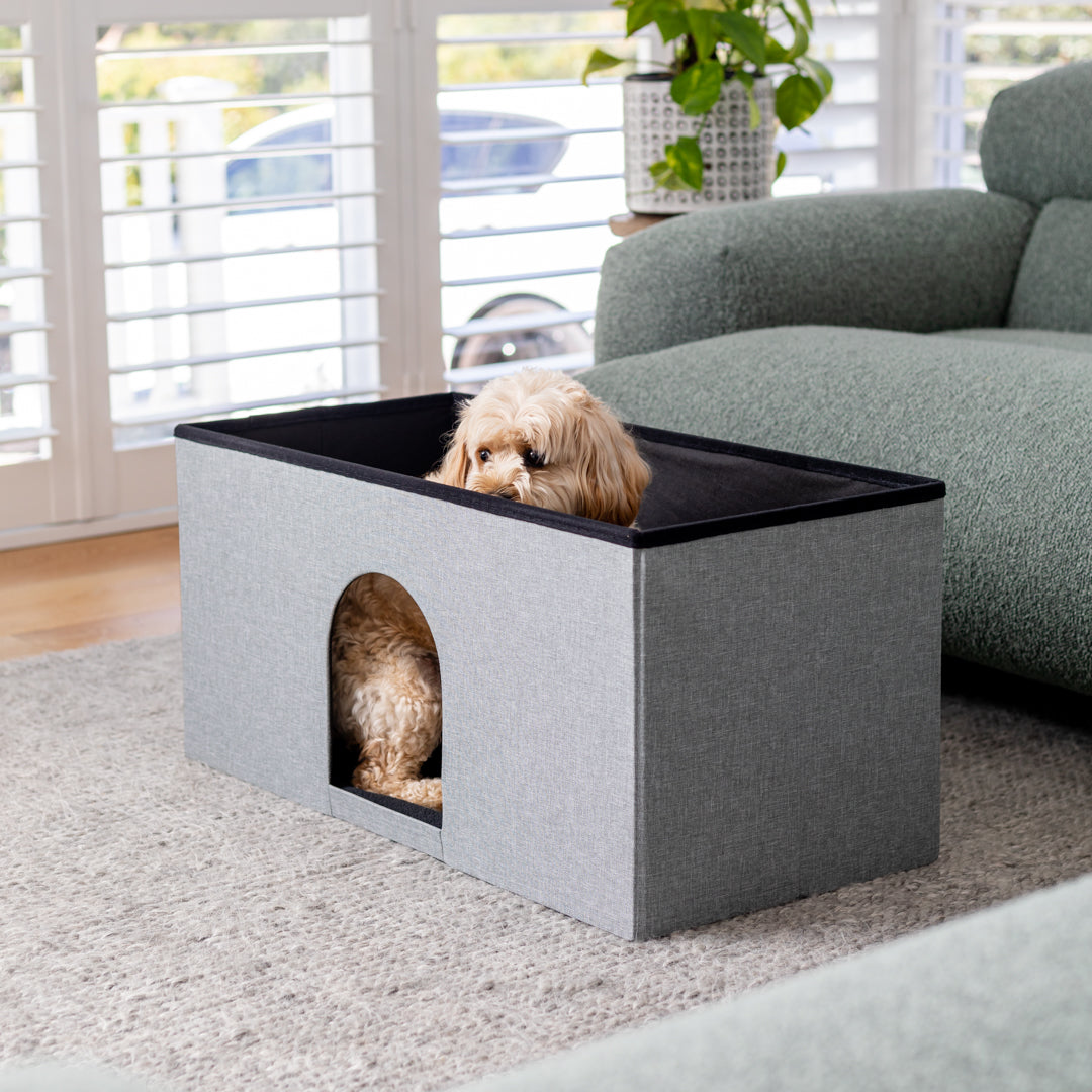 pet ottoman