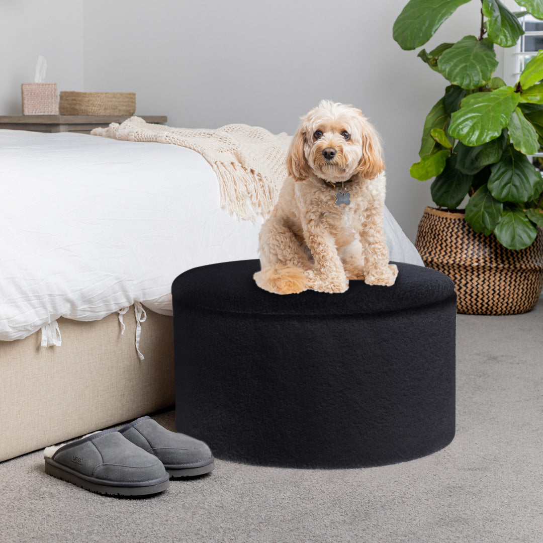 DICOR Australia - Dog on black storage ottoman